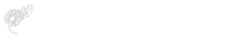 Passage white logo for the footer